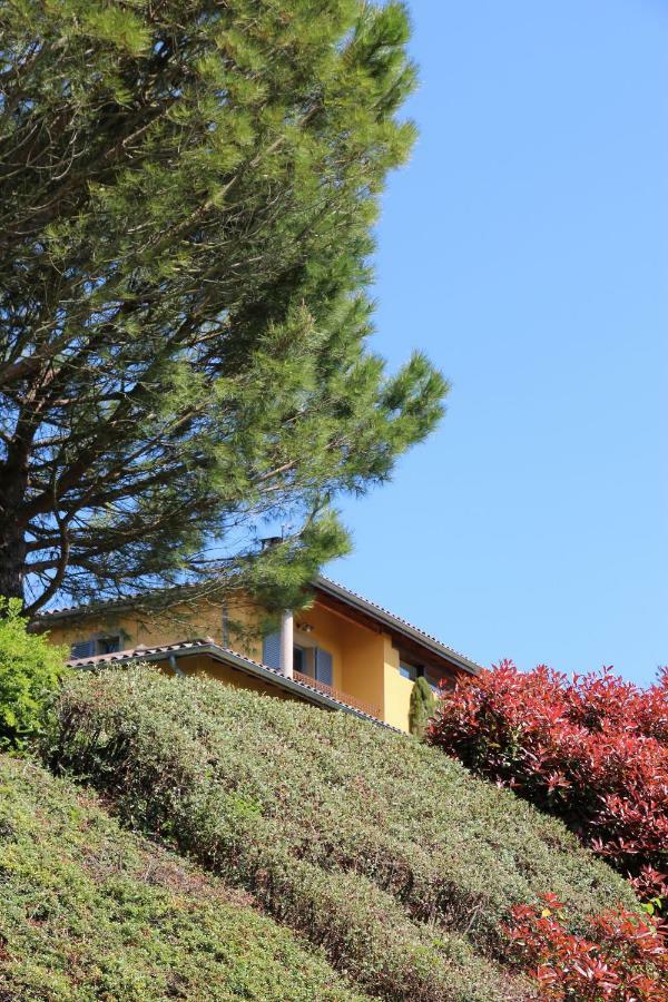 Le Vallon De Saint Andre Limonest Kültér fotó