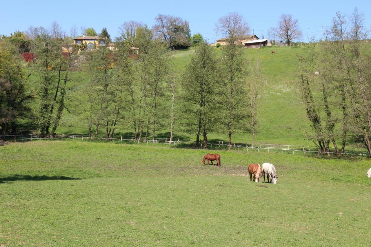 Le Vallon De Saint Andre Limonest Kültér fotó